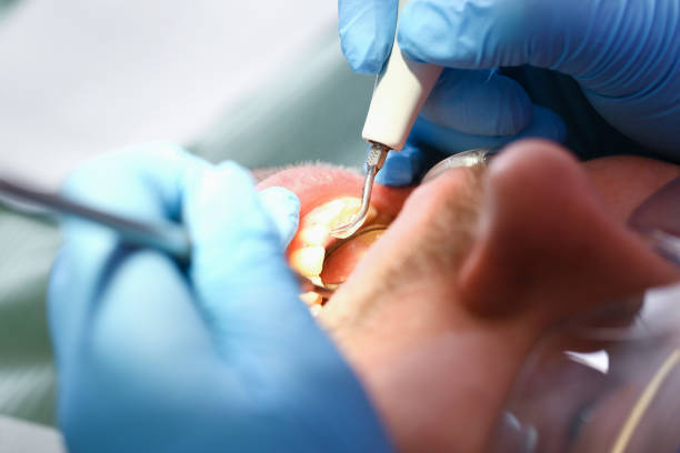 Best Cosmetic Emergency Dentistry in Elsa, TX